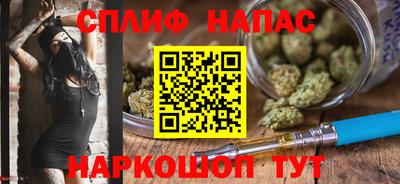 дживик Нальчик
