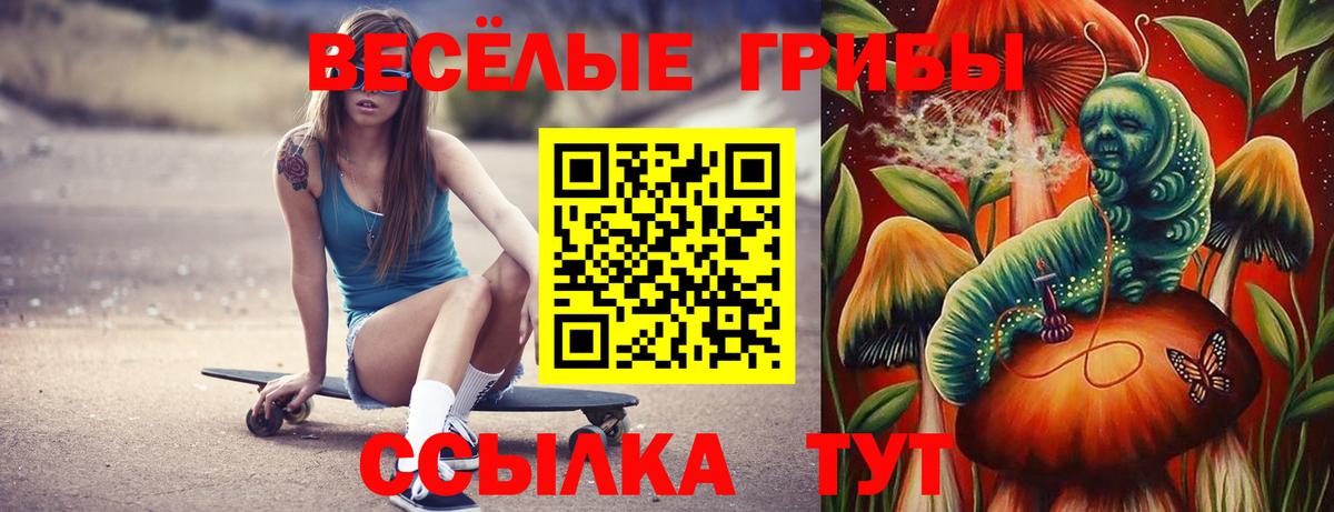 Галлюциногенные грибы Magic Shrooms Электросталь